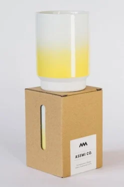 Asemi Hasami Gradient Cup - Large