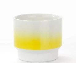 Asemi Hasami Gradient Cup - Small