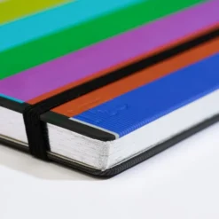 Blackwing Volume 343 A5 Notebook – Limited Edition