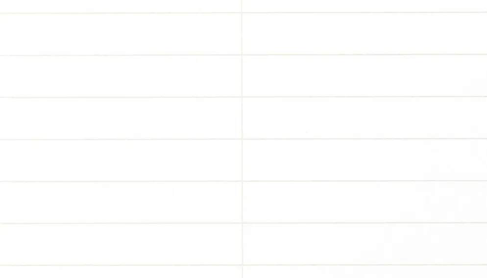 Field Notes Steno Pad
