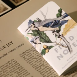 Field Notes The Birds and Trees of North America Limited Edition Notebook [3 pack]