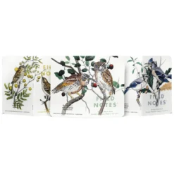 Field Notes The Birds and Trees of North America Limited Edition Notebook [3 pack]