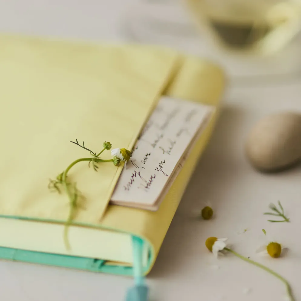 Hobonichi 2026 A5 Cousin Cover: Colors - Chamomile Mint