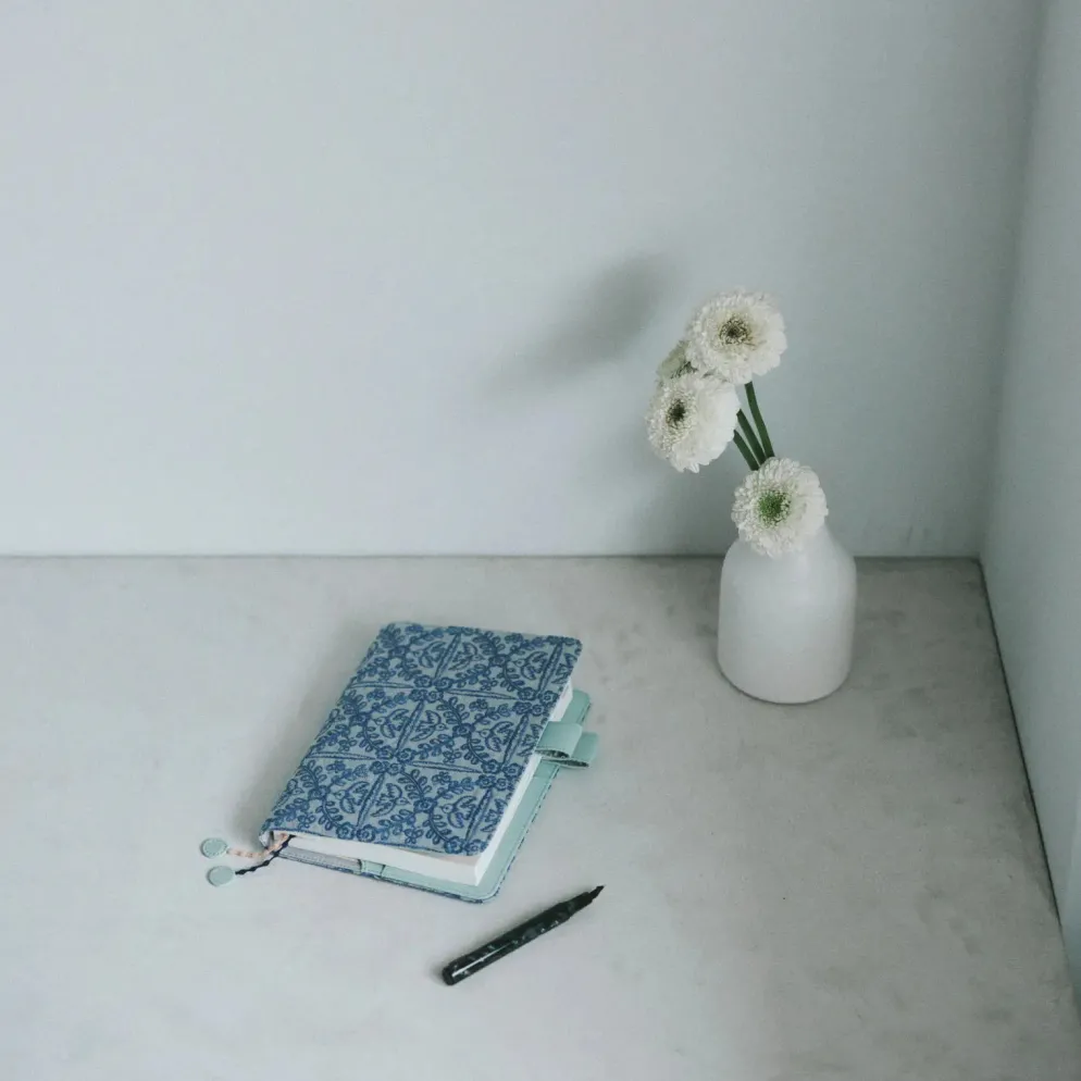 Hobonichi 2027 A5 Cousin Cover: minä perhonen - felice (Blue)