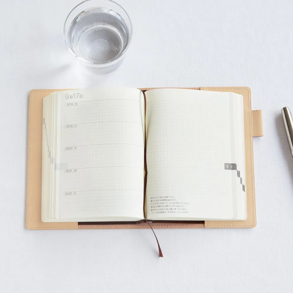 Hobonichi A6 5-Year Techo Leather Cover (Natural)