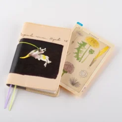 Hobonichi Pencil Board [Tomitaro Makino]