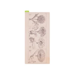 Hobonichi Pencil Board [Tomitaro Makino]