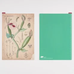 Hobonichi Pencil Board [Tomitaro Makino]