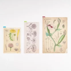 Hobonichi Pencil Board [Tomitaro Makino]