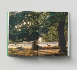 Hoxton Mini Press – An Opinionated Guide Book Series (London Editions)