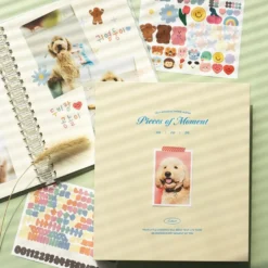 Iconic Collect Self-Adhesive Photo Album — 25 Sheets
