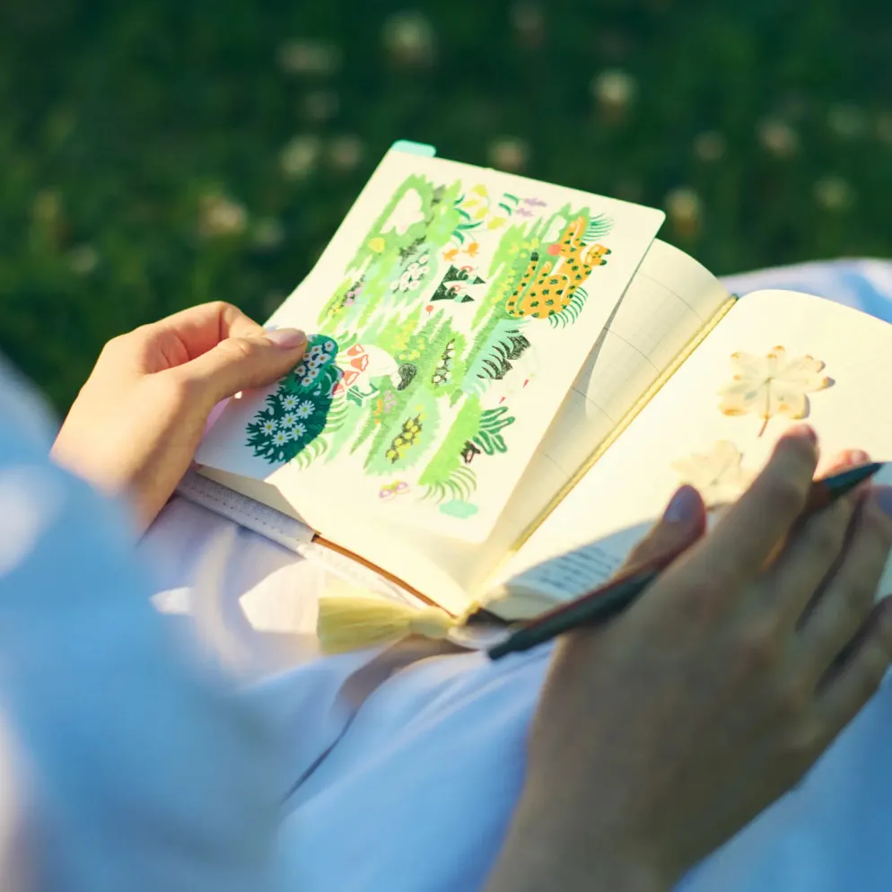 iyo okumi: Hobonichi 5-Year Techo Gift Set - haconiwa (2027-2031)