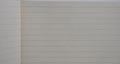 Life Vermilion Notebook B6