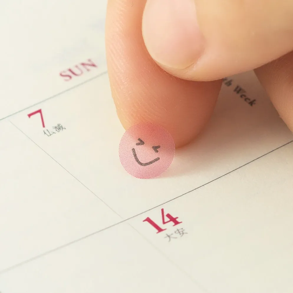 Midori Feeling Face Mood Stickers