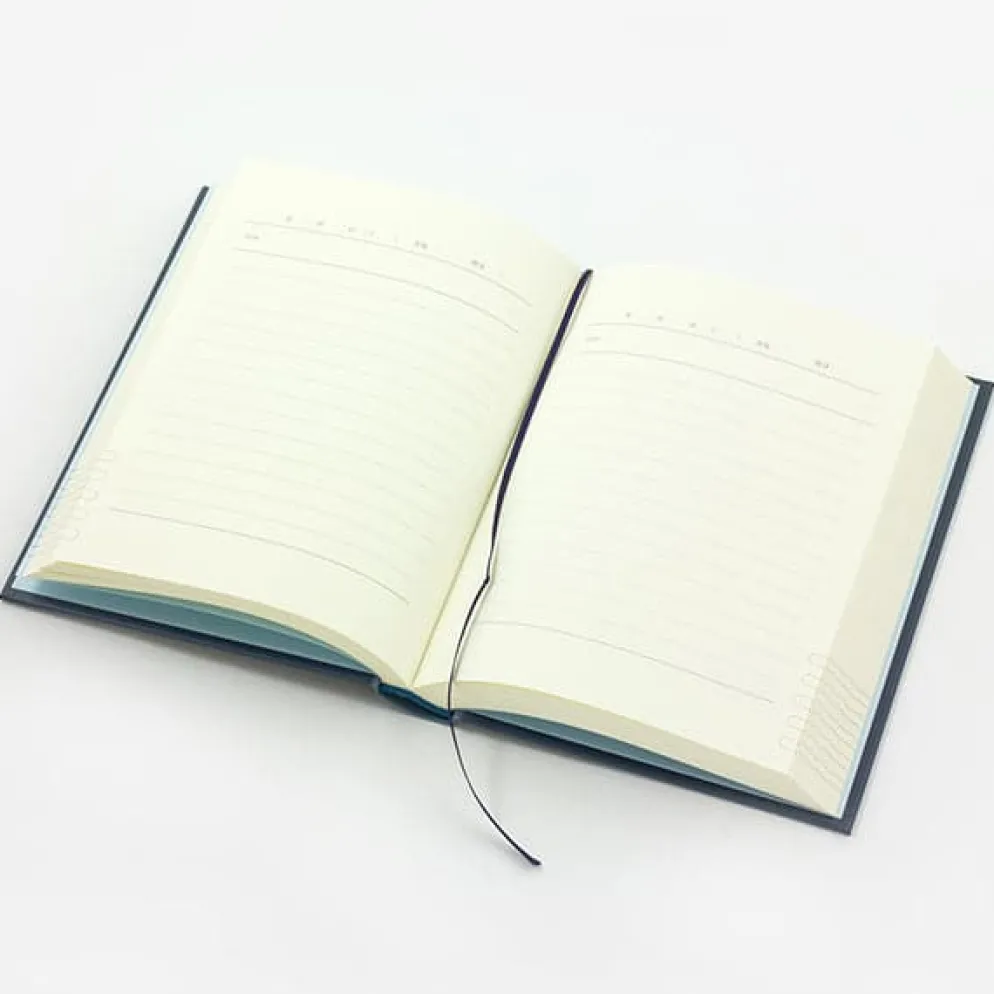 Midori -- One Year Diary