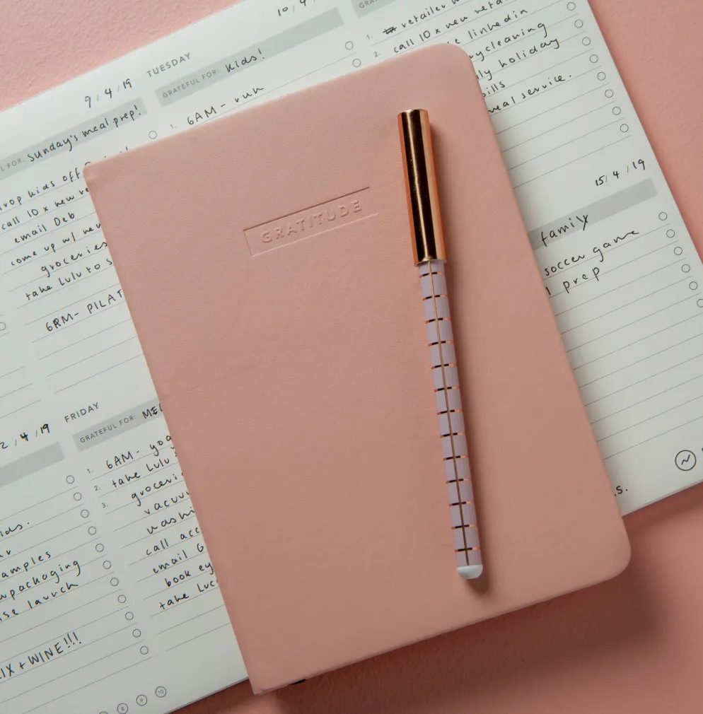 MiGOALS Gratitude Journal B6