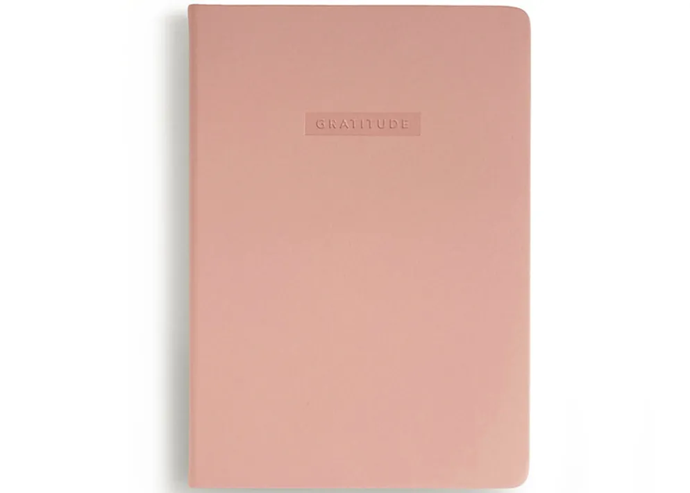 MiGOALS Gratitude Journal B6