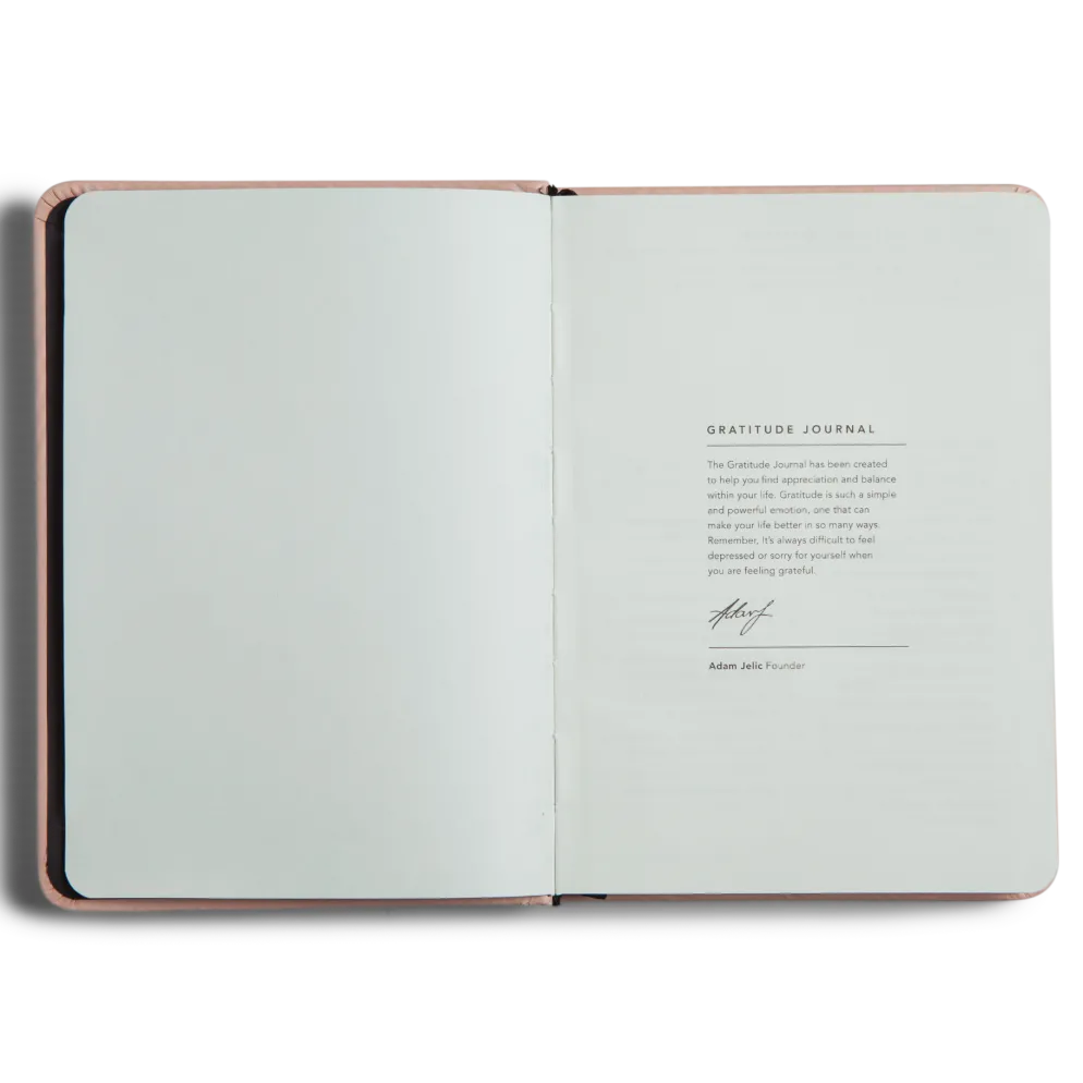 MiGOALS Gratitude Journal B6