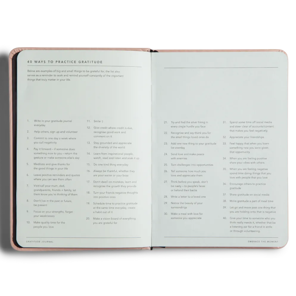 MiGOALS Gratitude Journal B6