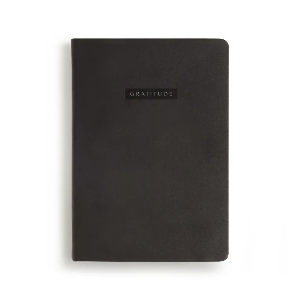 MiGOALS Gratitude Journal B6