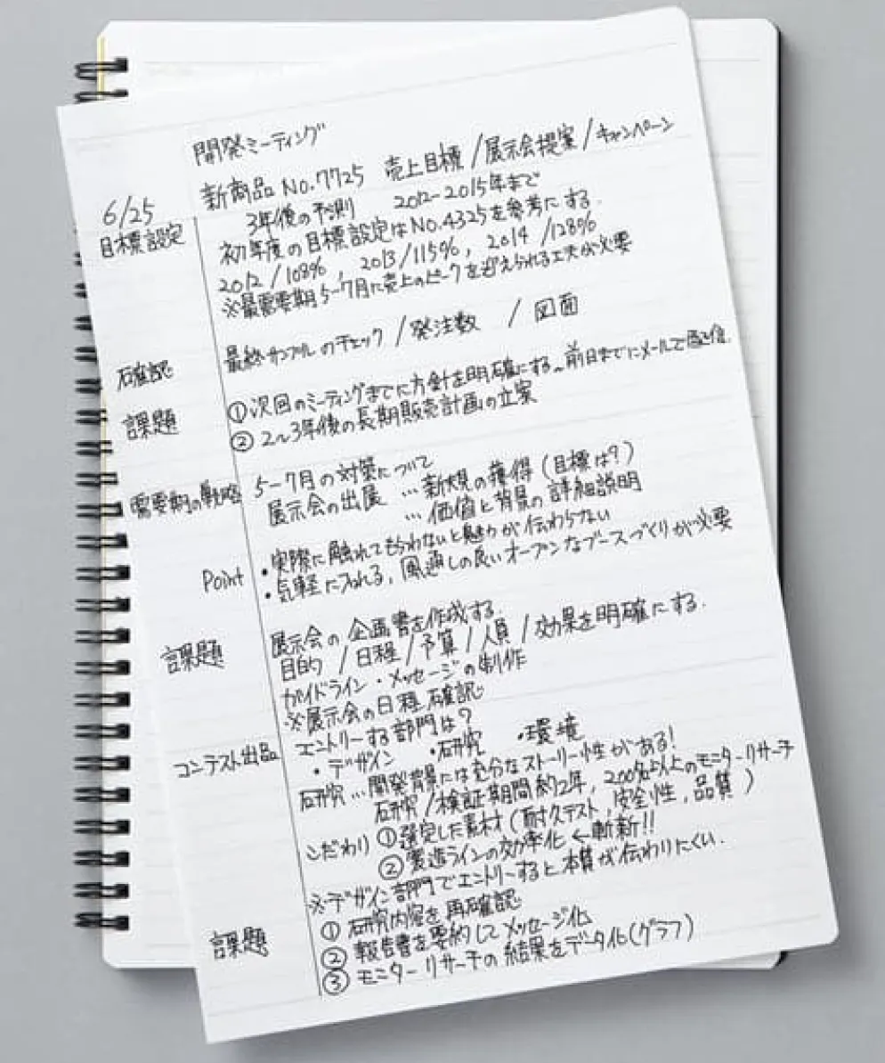 Mnemosyne N194A Notebook B5 Lined