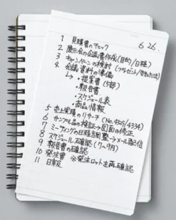 Mnemosyne 'Today's Act' Notebook N197A