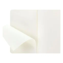 Moleskine Large Cahier – Myrtle Green (Set of 3)