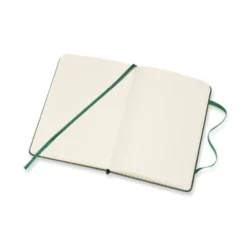 Moleskine Pocket Classic Notebook [Myrtle Green]