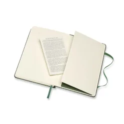 Moleskine Pocket Classic Notebook [Myrtle Green]