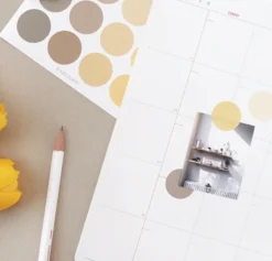 Paperian Colour Palette Stickers - Round