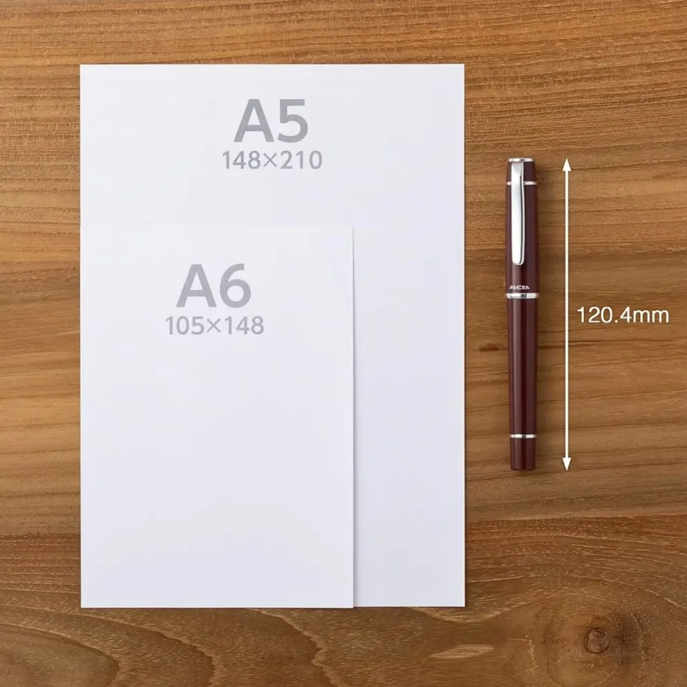 Pilot Prera Fountain Pen