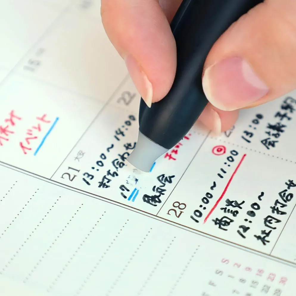 Sailor Que Será Erasable Ballpoint Pen – 0.8mm