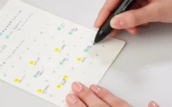 Stalogy Removable Calendar Sticker