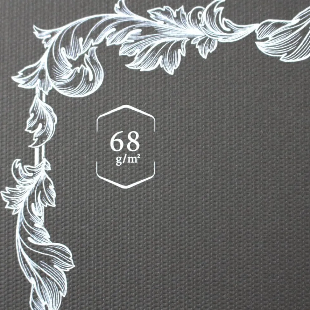Tomoe River Notebook B5 Softcover - White