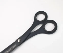 Tools to Live By Scissors 9