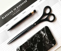 Tools to Live By Scissors 9