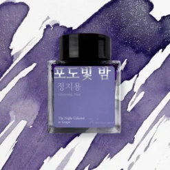 Wearingeul Jeong Jiyong Literature Fountain Pen Ink 30ml